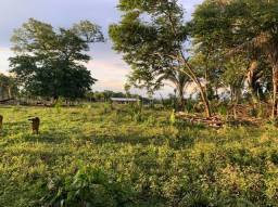 Título do anúncio: Fazenda nova de 170 hectares, sendo 120ha de pasto - 70 km de Cuiabá, sentido Rondonópolis