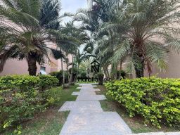 https://img.olx.com.br/thumbs256x256/98/988524164739135.jpg