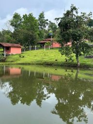 https://img.olx.com.br/thumbs256x256/98/988607549404616.jpg
