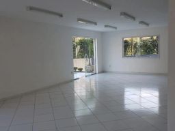 https://img.olx.com.br/thumbs256x256/99/990516635606696.jpg