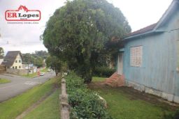 https://img.olx.com.br/thumbs256x256/99/990544153081952.jpg