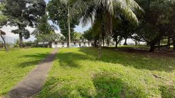 https://img.olx.com.br/thumbs256x256/99/990546270238651.jpg