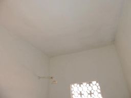 https://img.olx.com.br/thumbs256x256/99/990577754805376.jpg