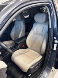 https://img.olx.com.br/thumbs256x256/99/991602184699973.jpg