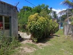 https://img.olx.com.br/thumbs256x256/99/992503154633655.jpg