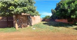 https://img.olx.com.br/thumbs256x256/99/992528517591386.jpg