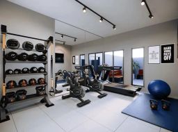 https://img.olx.com.br/thumbs256x256/99/994557639014480.jpg
