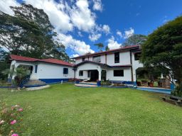 https://img.olx.com.br/thumbs256x256/99/994590616942407.jpg