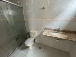 https://img.olx.com.br/thumbs256x256/99/995308107249472.jpg