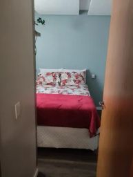 https://img.olx.com.br/thumbs256x256/99/995405537762053.jpg