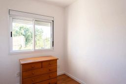 https://img.olx.com.br/thumbs256x256/99/995562286675183.jpg