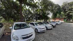 https://img.olx.com.br/thumbs256x256/99/995569514722186.jpg
