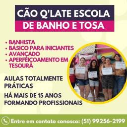Título do anúncio: CURSO DE BANHO E TOSA 