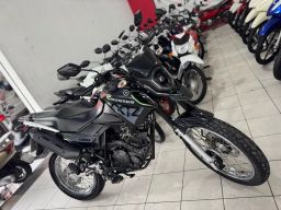 https://img.olx.com.br/thumbs256x256/99/996550394539412.jpg
