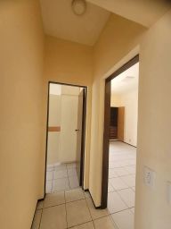 https://img.olx.com.br/thumbs256x256/99/996555401113475.jpg