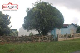 https://img.olx.com.br/thumbs256x256/99/996562515996103.jpg