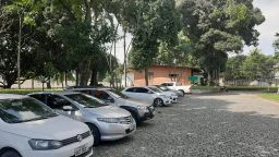 https://img.olx.com.br/thumbs256x256/99/997515395043709.jpg