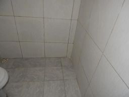 https://img.olx.com.br/thumbs256x256/99/997555271850507.jpg