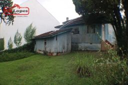 https://img.olx.com.br/thumbs256x256/99/998508394058677.jpg