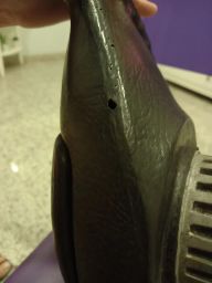 https://img.olx.com.br/thumbs256x256/99/998556767421519.jpg