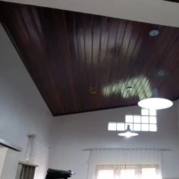https://img.olx.com.br/thumbs256x256/99/999544151770284.jpg