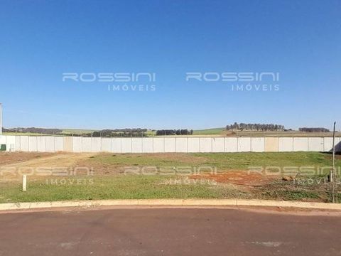 Terreno em condomínio, Condomínio Vista Alegre, Ribeirão Preto - SP