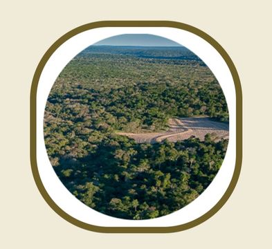 AREAS PRA COMPENSAÇÃO DE RESERVA LEGAL NA REGIÃO UBERLANDIA