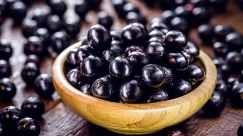 Muda de Jabuticaba 
