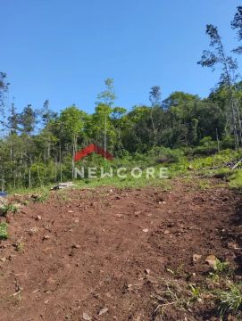Lote em Estrada cruzinha - Cruzinha - São Francisco de Paula/RS