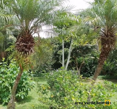 Terrenos Residenciais em Sambaqui