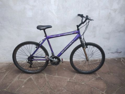 Bicicleta Sundown Animal