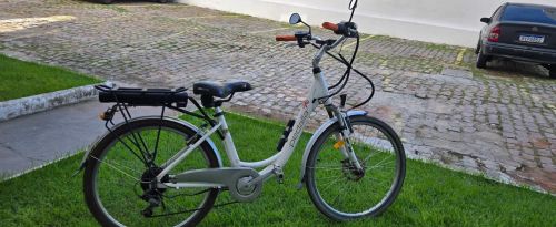 Bije elétrica 350W 
