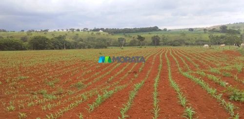 FAZENDA À VENDA - 20 HECTARES - LUZ (MG)