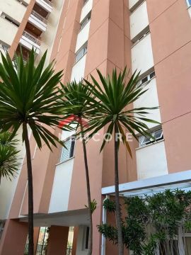 Apartamento em Rua Vinte e Quatro de Fevereiro - Casa Branca - Santo André/SP