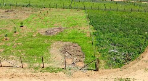 Lotes de 500m² em Cotia  Condomínio Fechado com Segurança e Natureza