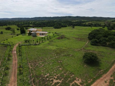 Fazenda arrendamento pra GADO, 12.000hec e 7 mil pastagem em Rosário do oeste MT 1.50.000 