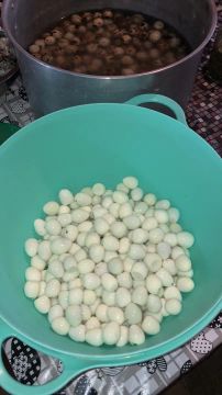 Ovos de codorna