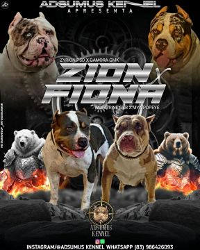 PIT MONSTERS 