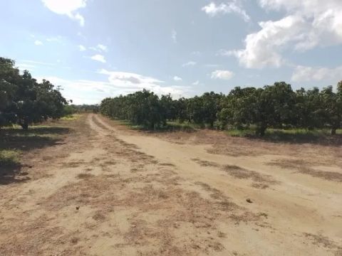 Vende-se área rural em produção 