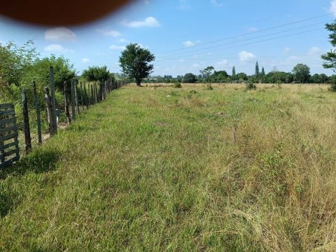 Terreno 32000 metros quadrados em  Pereiras/SP