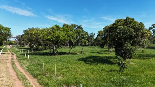 Vende-se ou troca área de 10 mil m² na saída de SP       
