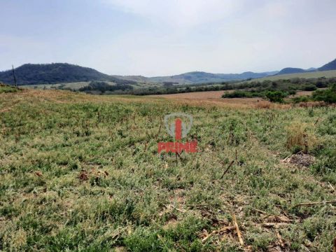 Sítio à venda em Faxinal no Paraná. Com 22 alqueires plantando 17, topografia: leve inclin