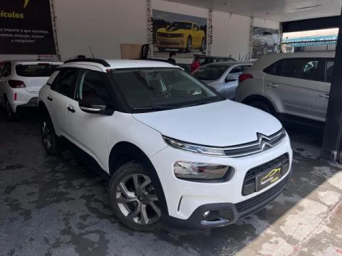 C4 CACTUS FEEL 2023
