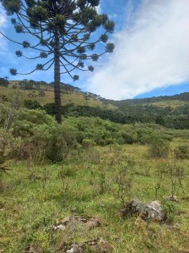 57,8 hectares de matas e campos na Serra Catarinense