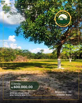 Vende-se sítio na Vicinal Água Boa | 16 Km de Boa Vista 