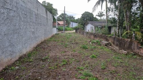 Terreno plano em ótima localização