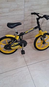 Bicicleta Infantil Dino 16