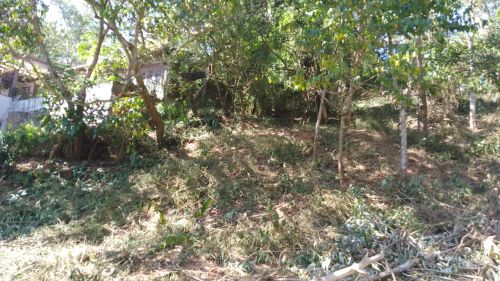 Imóvel para venda possui 1166 m2 em Guritiba- Mulungu - CE