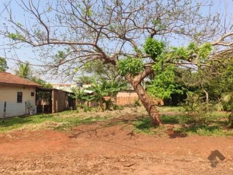 Terreno - Jardim Pacaembu - 390 m2