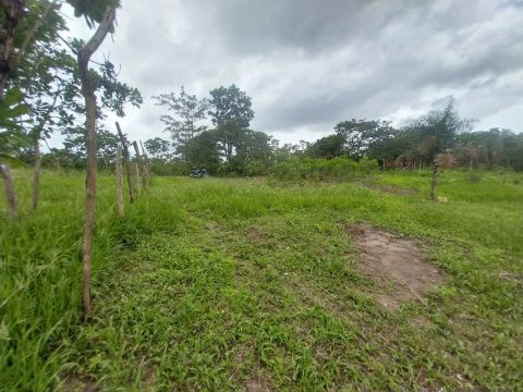 Terreno